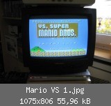 Mario VS 1.jpg