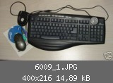 6009_1.JPG